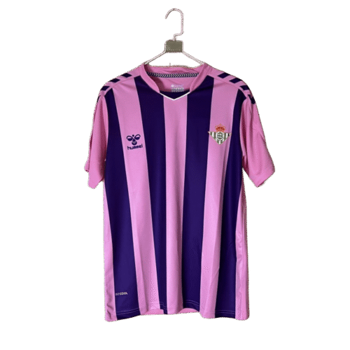 1TRAININGPINK Betis 25/26 GARDIEN TRAINING FAN VERSION