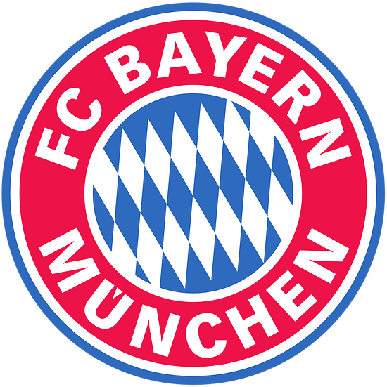 Bayern Munich 25/26 125 Years MANCHE LONGUE PLAYER VERSION