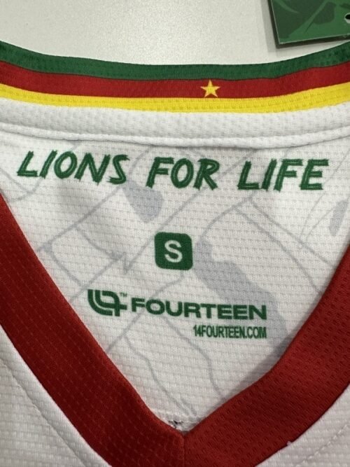 Cameroun 25/26 AWAY FAN VERSION