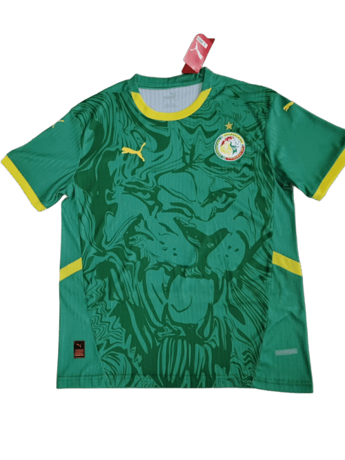 1F2526 Sénégal 25/26 AWAY FAN VERSION