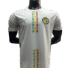 1F2526 Sénégal 25/26 HOME FAN VERSION