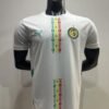 1F2526 Sénégal 25/26 HOME FAN VERSION