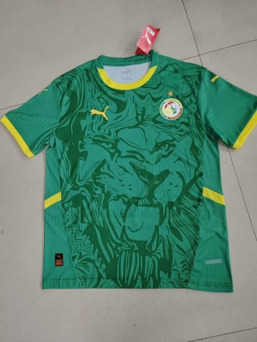 Sénégal 25/26 AWAY FAN VERSION