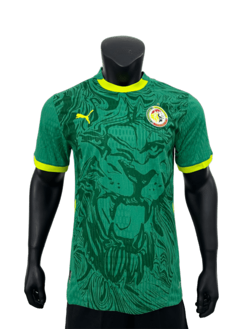 1P2526 (1) Sénégal 25/26 AWAY PLAYER VERSION