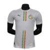1P2526 Sénégal 25/26 HOME PLAYER VERSION
