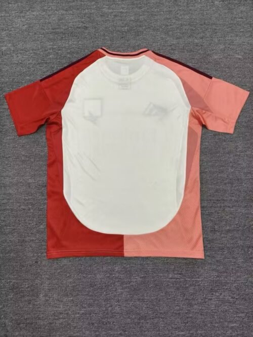 Lyon 24/25 3rd FAN VERSION