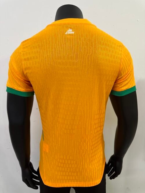 Côte D'Ivoire 25/26 HOME PLAYER VERSION