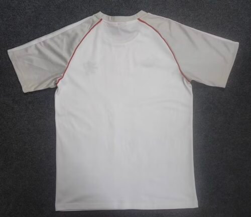 2SP-BLANC Lyon 25/26 SP FAN VERSION