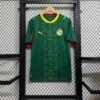 Sénégal 26/27 AWAY FAN VERSION