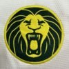 Cameroun 25/26 AWAY FAN VERSION