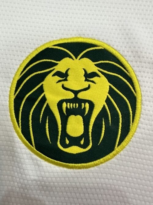 Cameroun 25/26 AWAY FAN VERSION