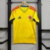 Colombie 25/26 HOME FAN VERSION