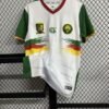 Cameroun 25/26 AWAY FAN VERSION