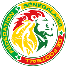 images Sénégal 25/26 AWAY FAN VERSION